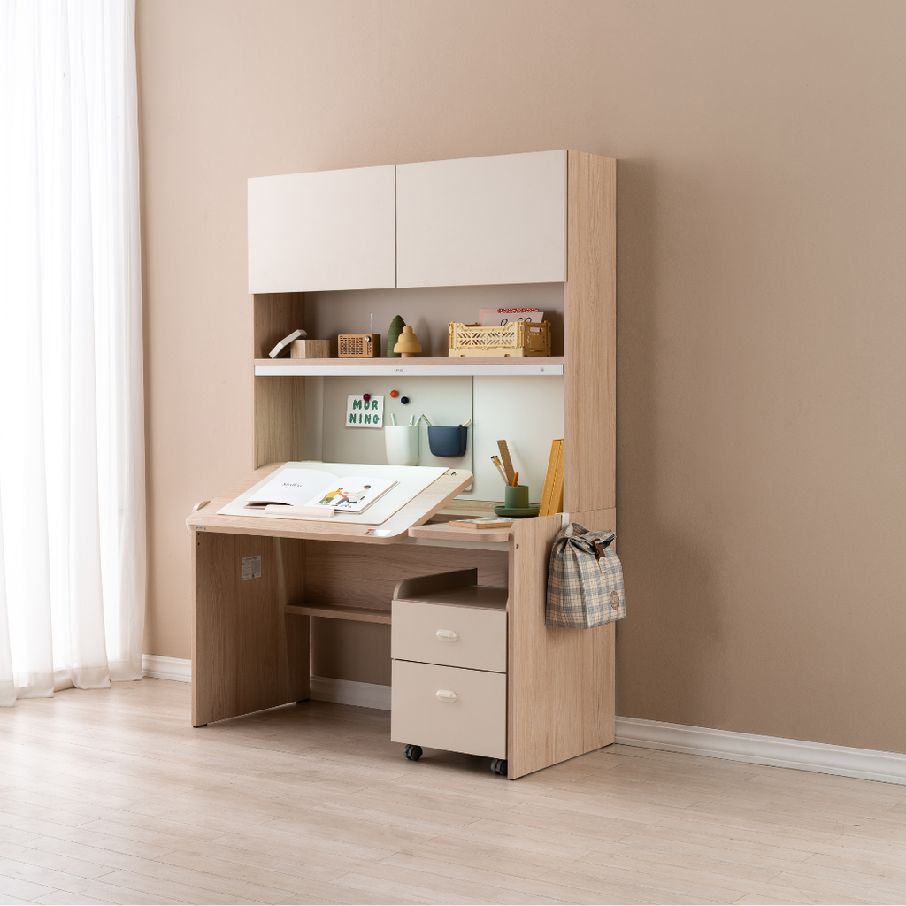 Ronan Adjustable Desk with Upper Door Shelf